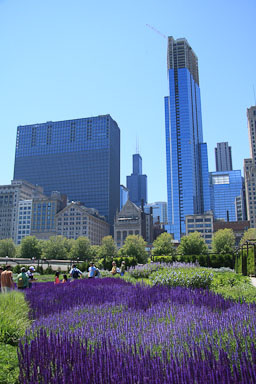 IMG_5547.jpg