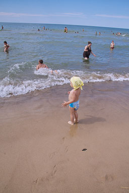 IMG_7875_.jpg
