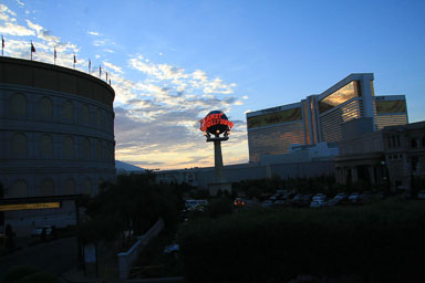IMG_2972.jpg