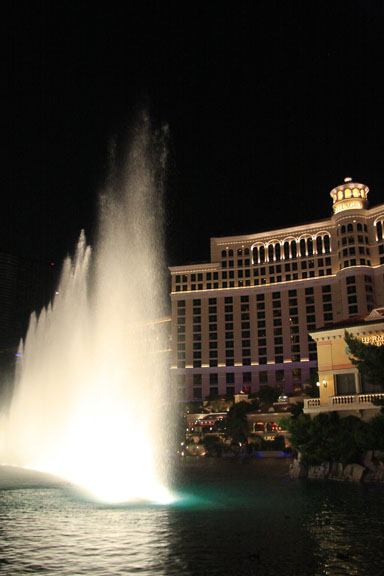 IMG_3172.jpg
