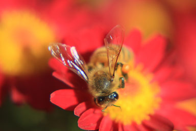 2010_10_17 - Cantigny Park
