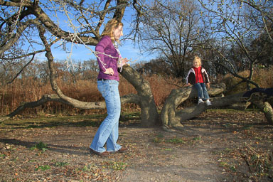 2010_11_07 - Cantigny Park