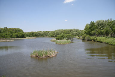 2011