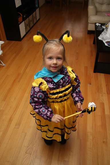IMG_6741.jpg