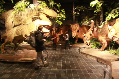 IMG_9611.jpg