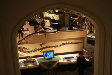 IMG_9619.jpg