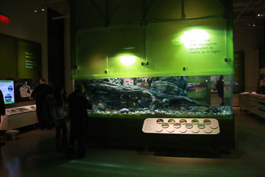 IMG_9627.jpg