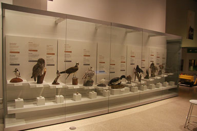 IMG_9678.jpg