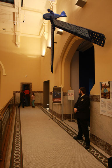 IMG_9683.jpg