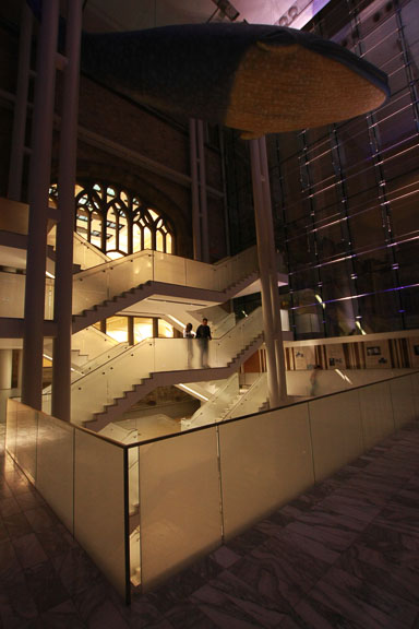 IMG_9688.jpg