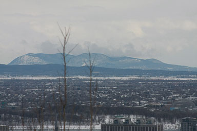 IMG_9886.jpg