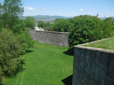 IMG_7230.jpg