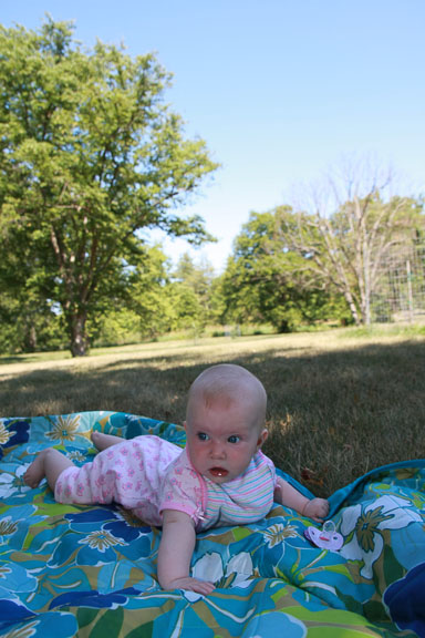 IMG_4837.jpg