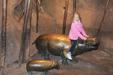 2012_11_18 - Lincoln Park ZOO