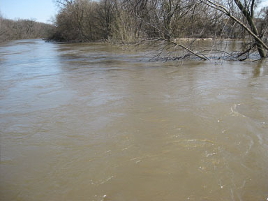 IMG_8319.jpg