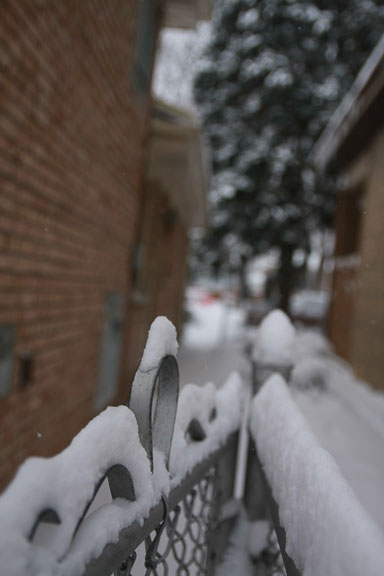 IMG_4995.jpg
