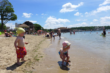 P1100041.jpg