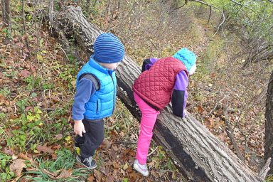 P1130520.jpg