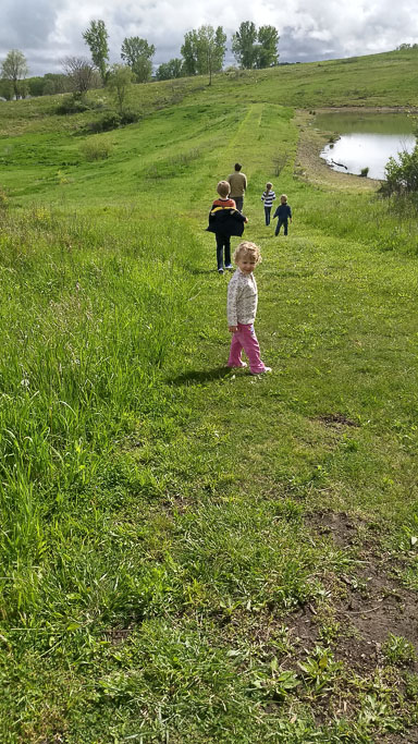 IMG_20200517_161637975_HDR.jpg