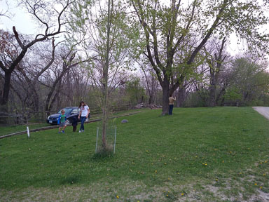 IMG_20210428_200230714.jpg