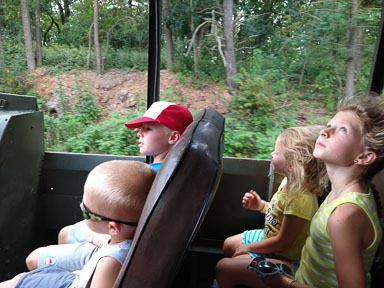 IMG_20210819_123105230.jpg