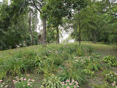 IMG_20210912_150332999.jpg