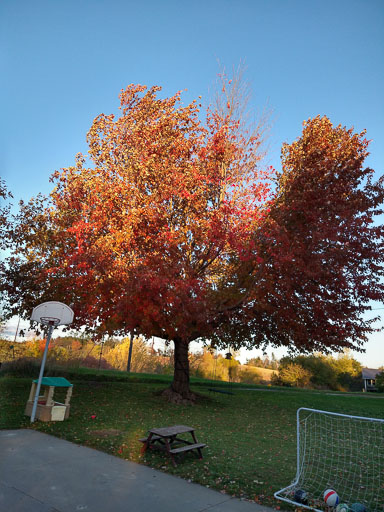 IMG_20211029_173720995_HDR.jpg