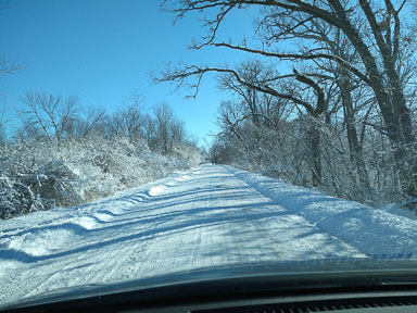 IMG_20220115_113305473.jpg