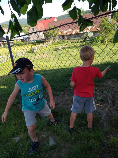 IMG_20220619_181559053.jpg
