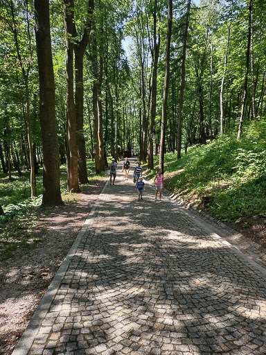IMG_20220704_140718085_HDR.jpg