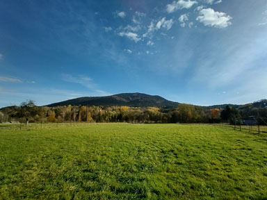 IMG_20221104_095415_HDR.jpg