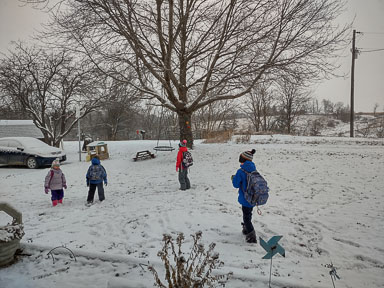 IMG_20221116_074812968_HDR.jpg