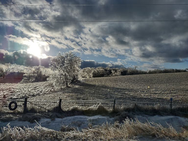 IMG_20230223_165028194_HDR.jpg