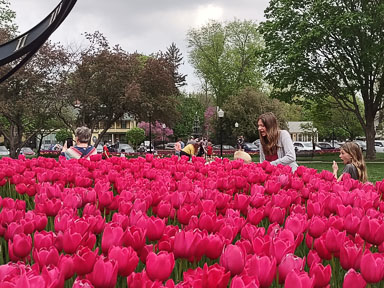 IMG_20230507_113622221.jpg