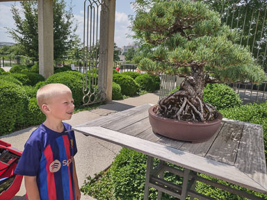 IMG_20230702_145242321_HDR.jpg
