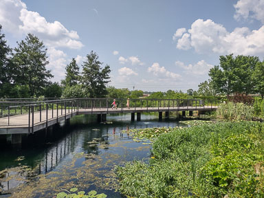 IMG_20230702_145513558_HDR.jpg