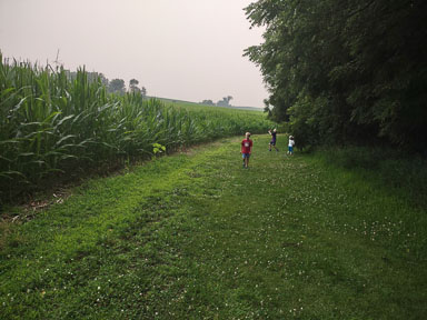 IMG_20230716_183034859.jpg
