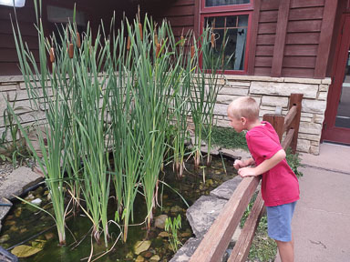 IMG_20230716_183955410.jpg