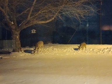 IMG_20240121_234747_HDR.jpg