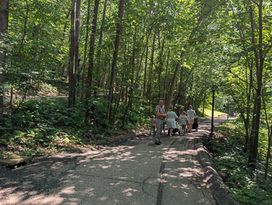 PXL_20250706_201619063.jpg