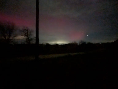 PXL_20251113_041331310.NIGHT.jpg